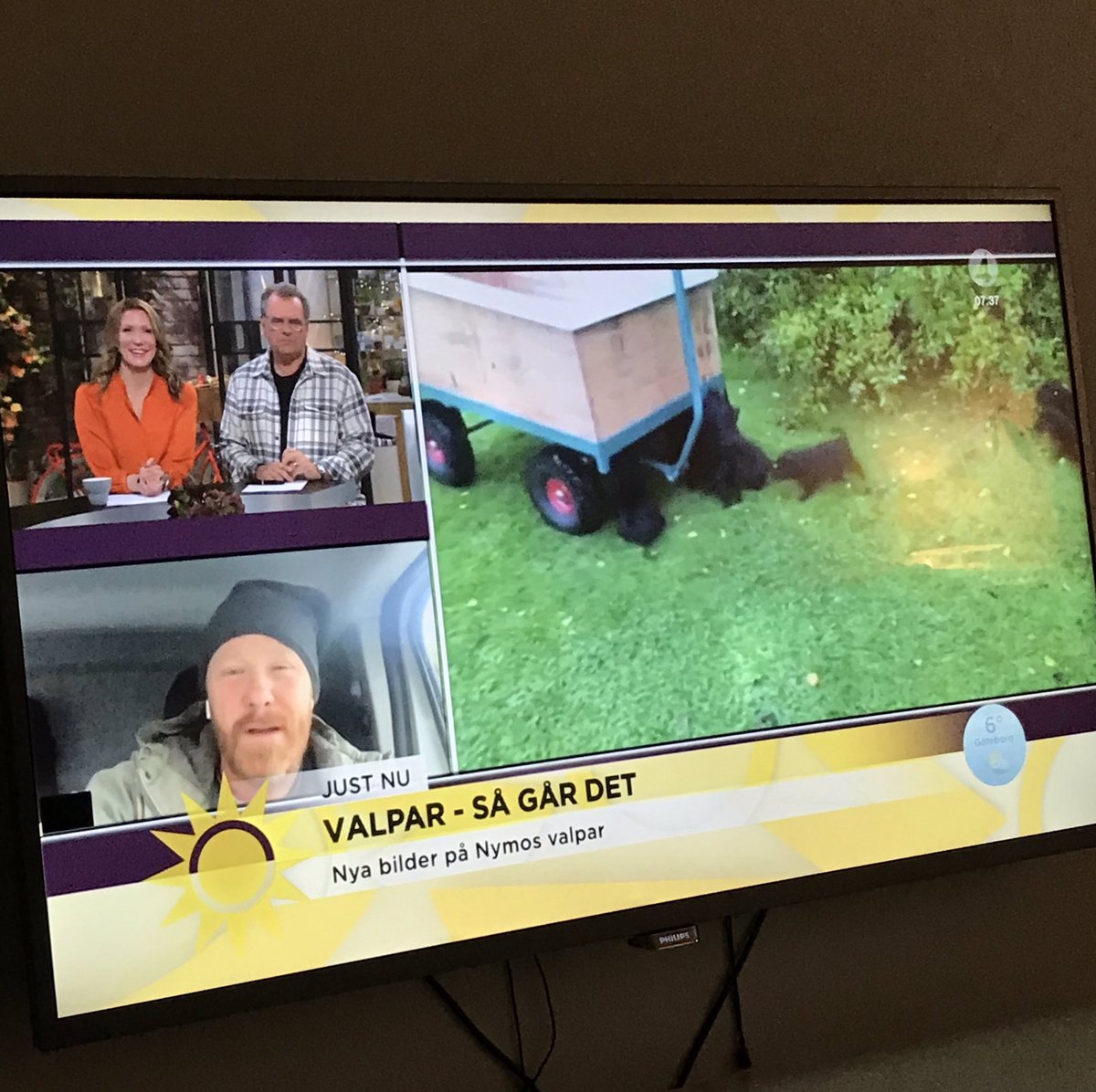 Mark Malmstrom Fast On Twitter Dramatiska Bilder I Tv4 Nyhetsmorgon
