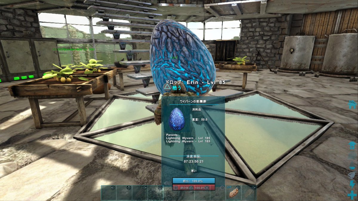 人気のコレクション Ark ワイバーン レベル