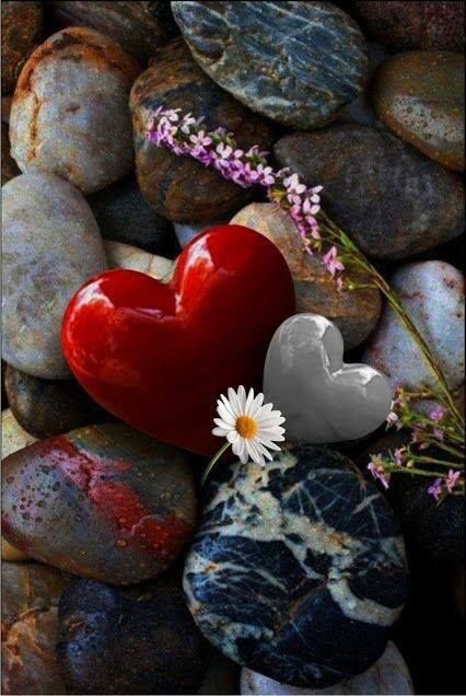 Love unique. Каменное сердце. Красивые камни. Красивые камешки. Красивое сердце.