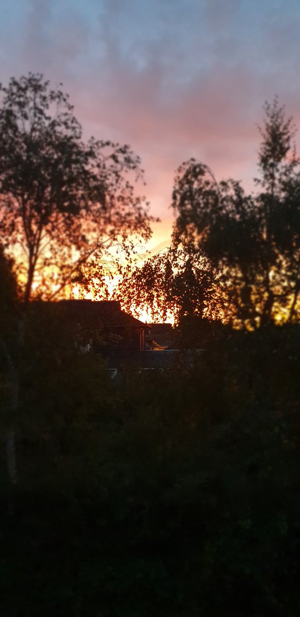 Mathilde Blanchard tweet media