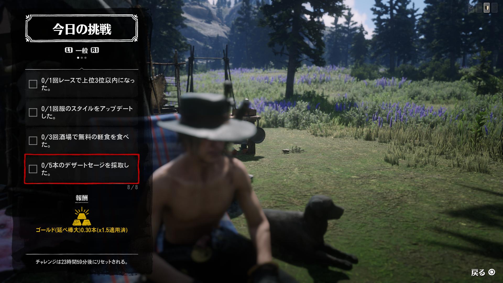 キンタ On Twitter 今日の挑戦です ビーバーはオワンジーラですね レースは殺しあいです デザートセージはタンブルウィードの南ですね Rdr2 Rdo Rdonline Https T Co Vpuzyxirka Twitter