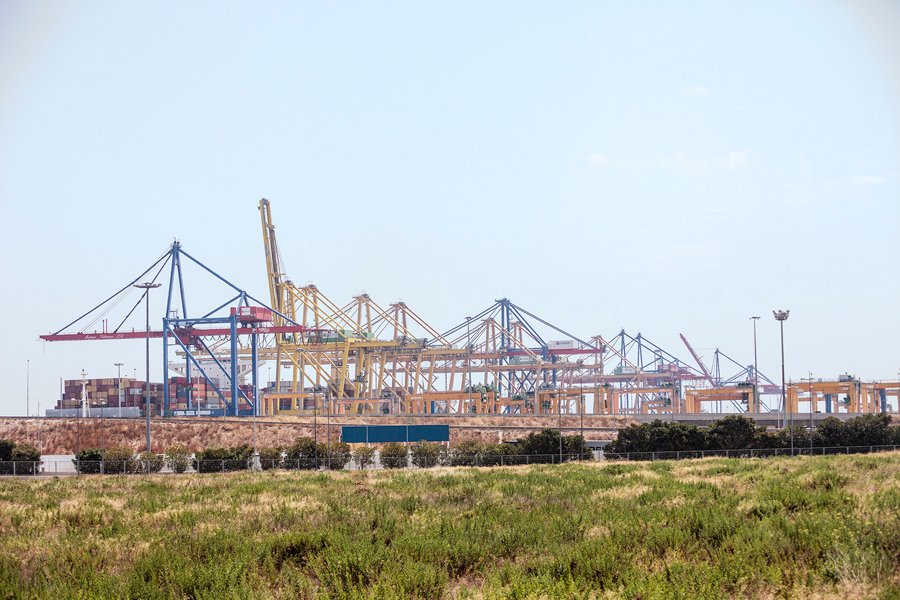 #REPORTATGE | L’horta que lluita contra els interessos de l'autoritat portuària de València. directa.cat/lhorta-que-llu… Text d'<a href="/EsterFayos/">Ester</a> des de la #DirectaPV