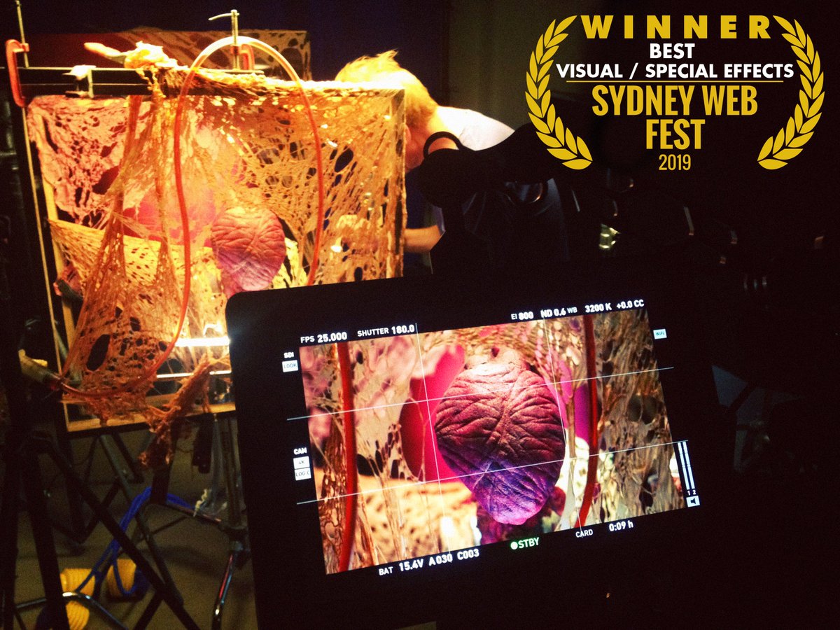 THANK YOU, MRS <a href="/SydneyWebFest/">Sydney Web Fest</a>!! here is a photograph of my ❤️ torn out of my chest for a "special effect".. glitter was involved.. i'm special.. yes.