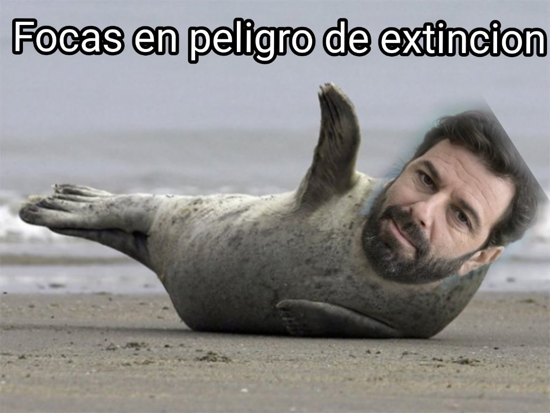 mengueche08's tweet photo. #TwitterEsFA!

Luego d publicar #RepudioANin, #RepudioAMujica, #RepudioAlFA, en forma intespestiva Twitter me sancionó x incitar a la violencia xq hace 4 ds traté a una foca d cob...!

Lo hice pq me discriminó x mi edad, peso, capacidad sexual y sicológica!

Extraño y con delay!! https://t.co/jj6eldwRRz