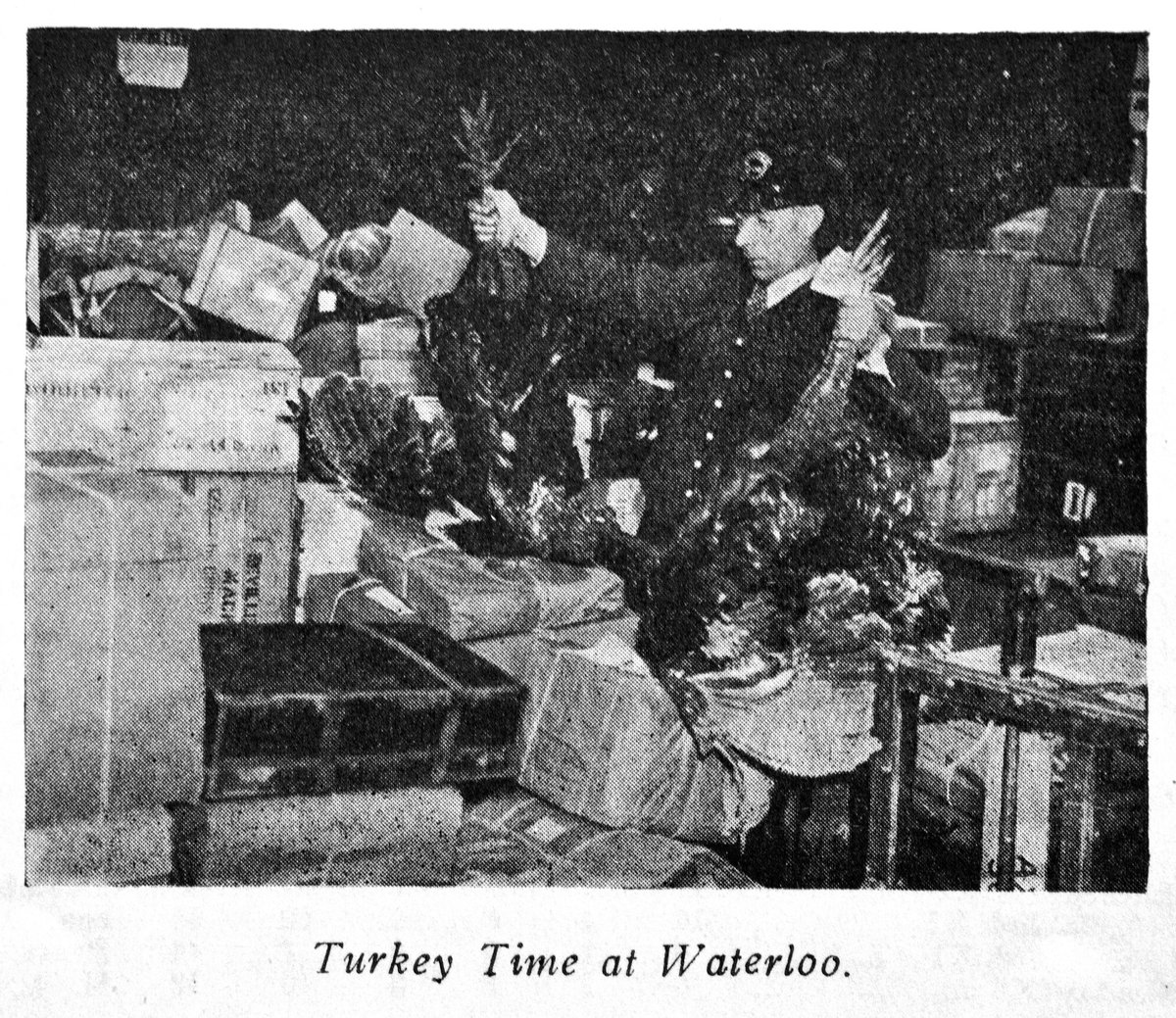 Sunny South Sam tweet media