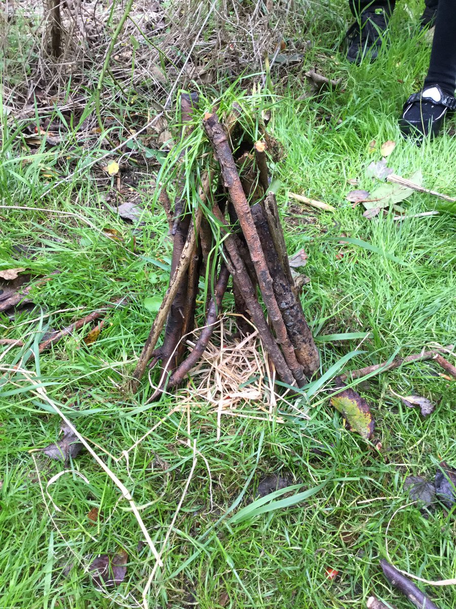 OaktreeYear6's tweet photo. If I go into the forest today ... all kinds of fun can be had. #intotheforest https://t.co/z1sRplbxG0