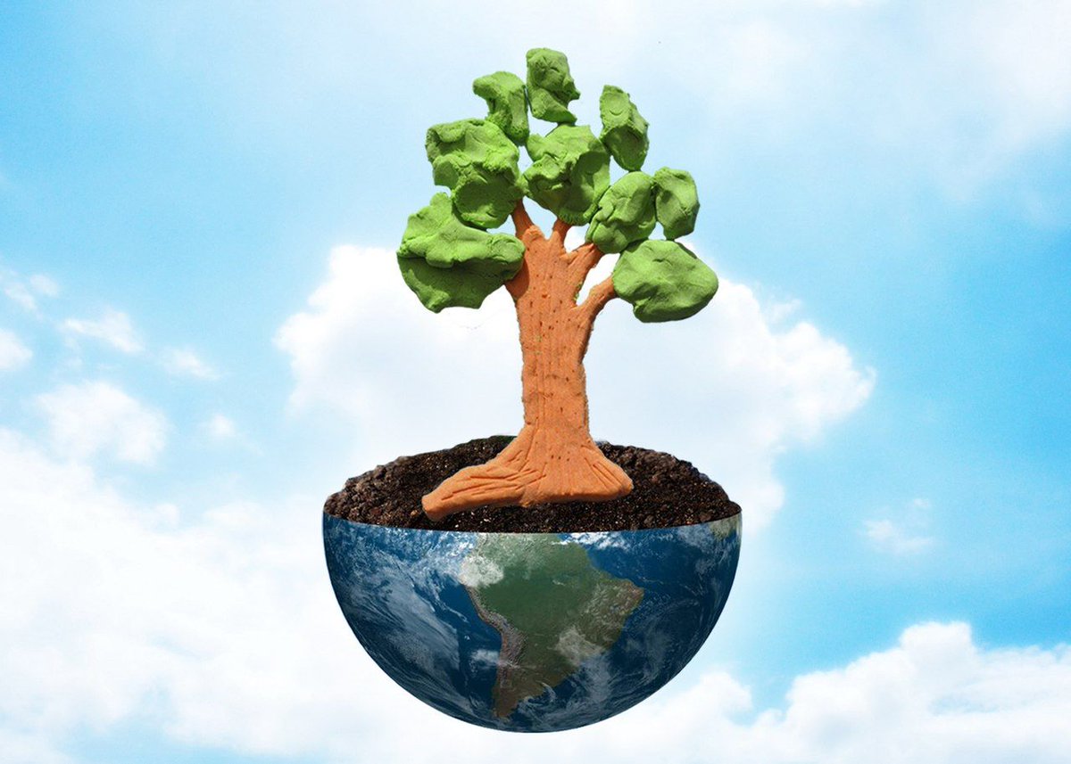 ZephyrPlay's tweet image. You can make any tree with our plasticine Zephyr.  #Imagination #Creative #Creativity #zephyr #playdough #plasticine #clay #bake #kids #toys #toys