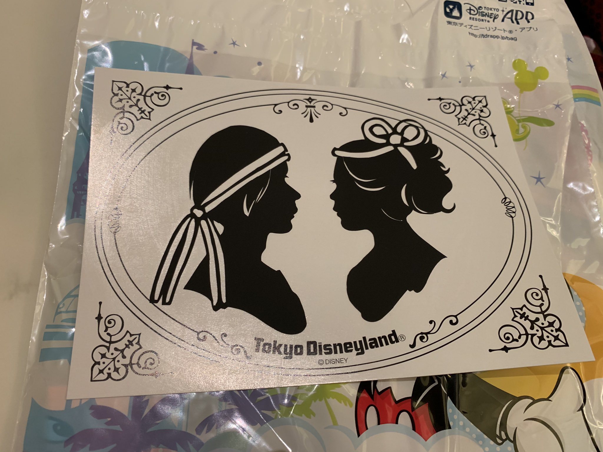 のぼりん Twitter પર 結婚1周年は 紙婚式 と言うそうです 紙婚式にちなんで ディズニーランドで 切り絵をやってもらいました 今日の仮装に合わせた切り方 一瞬で作ってくれるスピード感 そして貰った時の感動 どれをとっても素敵な体験でした 1