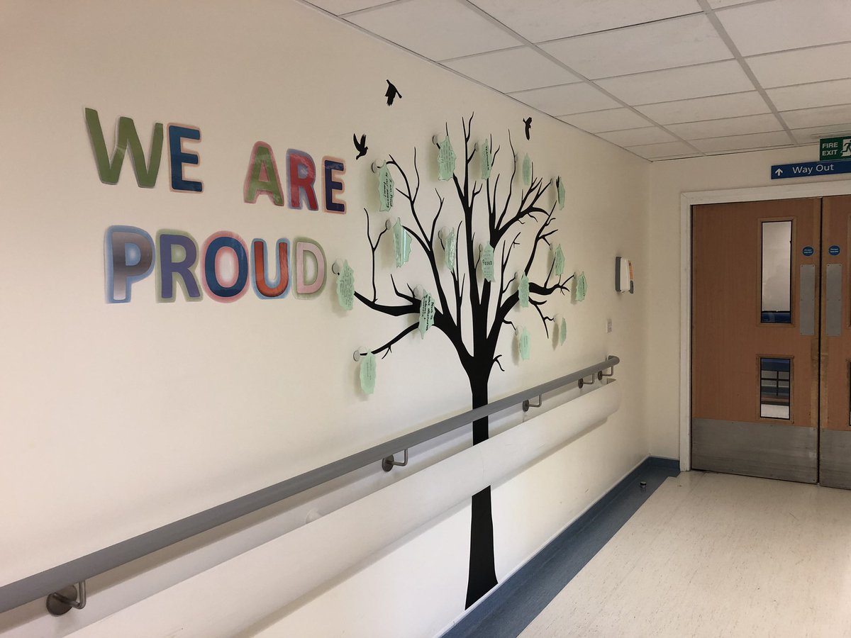 ClaireAllan10's tweet photo. The finished product, thank you @RuthGoalby #weareproud#teammaternity @Gaynora @sharongouldinga @ninamorganUHCW @nhsuhcw https://t.co/3q1UHqE23a