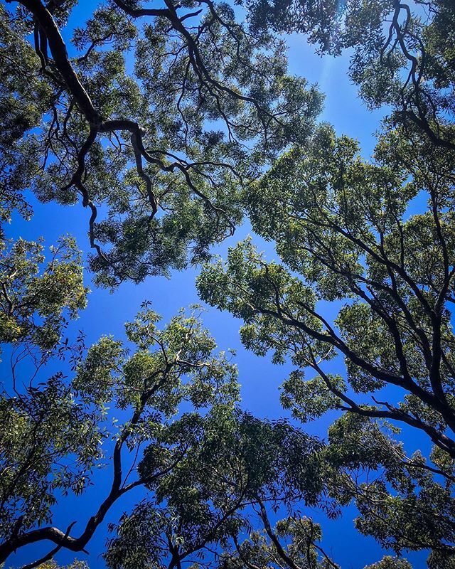 ben_walker tweet media