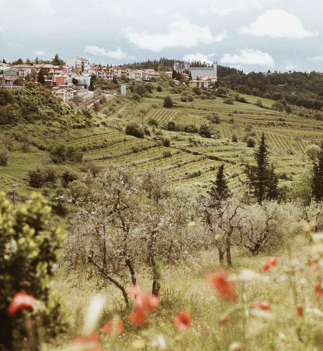 سُنن الحَياة تُربيكْ على توطينِ قلبكَ في السماء، لا أهلٌ، لا أرضٌ، ولا كلُ ما تحب يبقى لَك، ولا أنت باقٍ له !
✨🕊