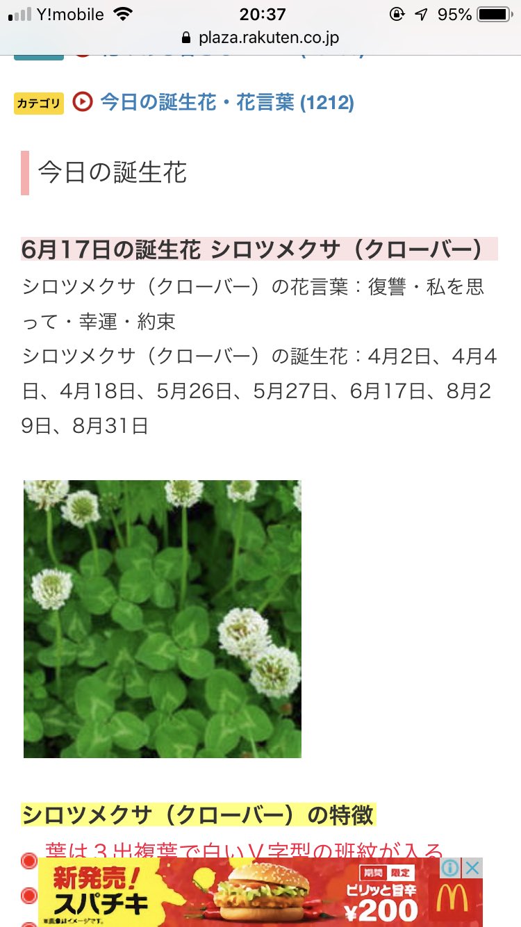 𝑦𝑢𝑛 今モニタリング見てるんだけど 怪奇現象笑える 笑 クローバーって花言葉こわい T Co Dndpnnwf2w Twitter