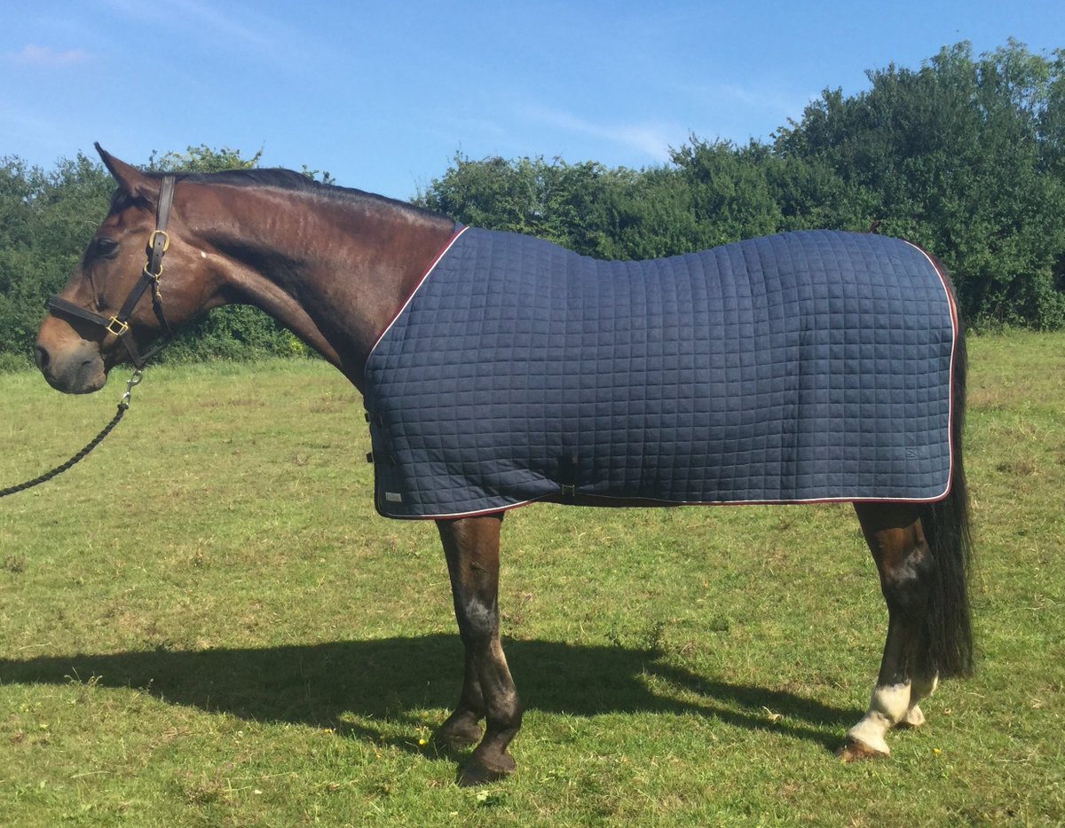 Harry Dabbs Saddles tweet media