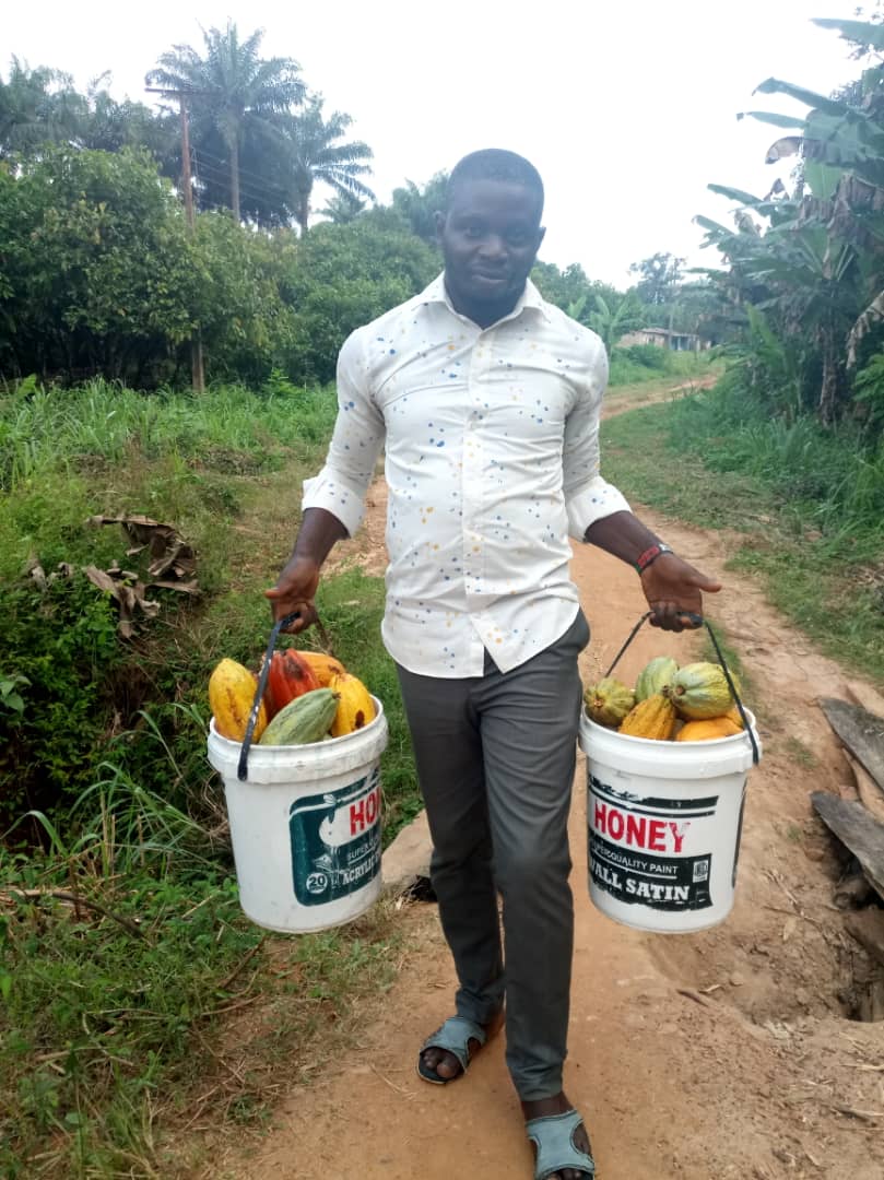gsitechng's tweet photo. In GSI tech, Agriculture is a culture! https://t.co/mny2H47Dpq