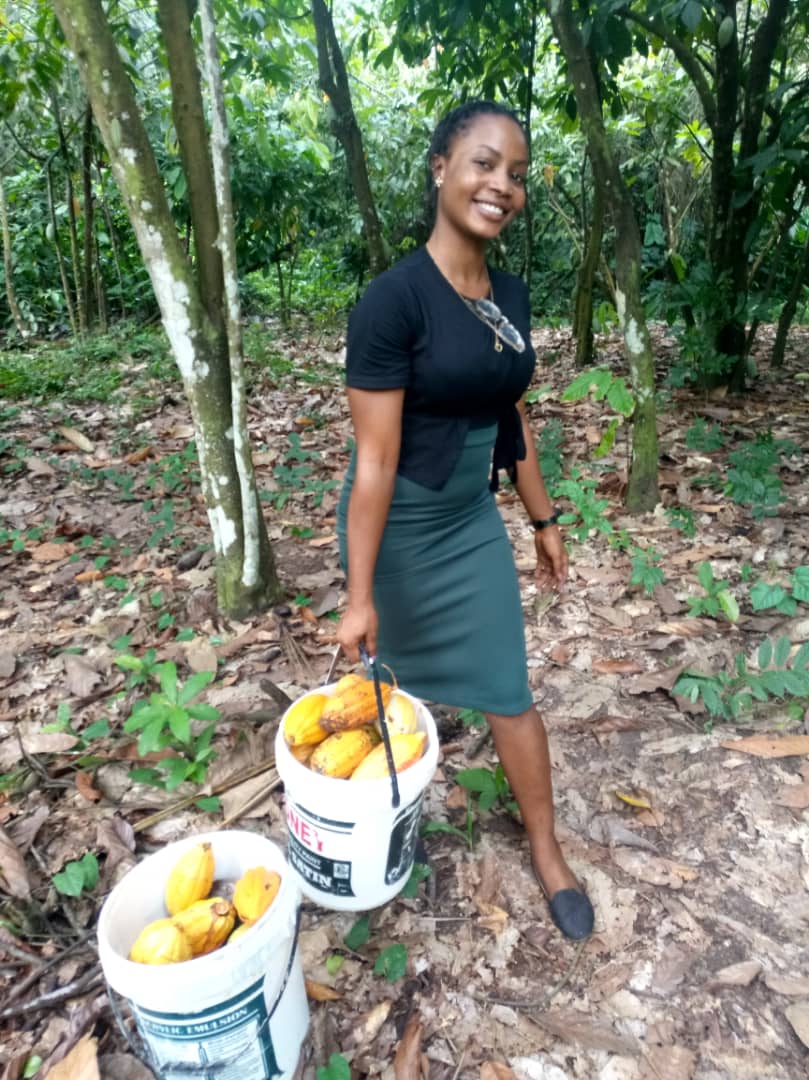gsitechng's tweet photo. In GSI tech, Agriculture is a culture! https://t.co/mny2H47Dpq