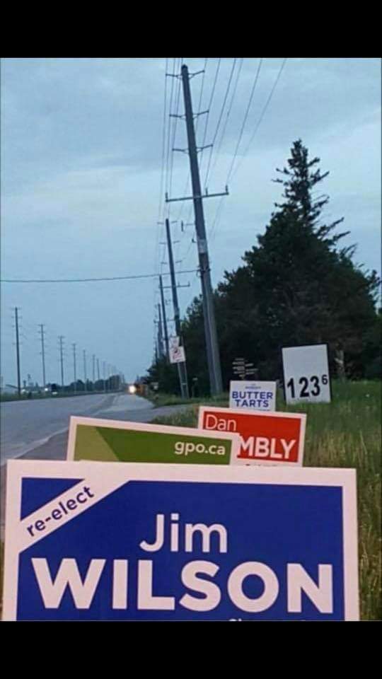 Line up of election signs with conservative, liberal, and green party signs. Sign for butter tarts at the back