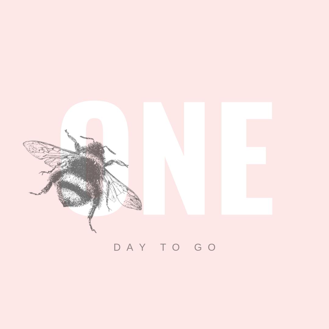Today is the 3rd October which can only mean one thing.... THE BALL IS TOMORROW!!⁣
⁣
We could not be more excited to open the doors to our magical ball for the second year running 🤭⁣