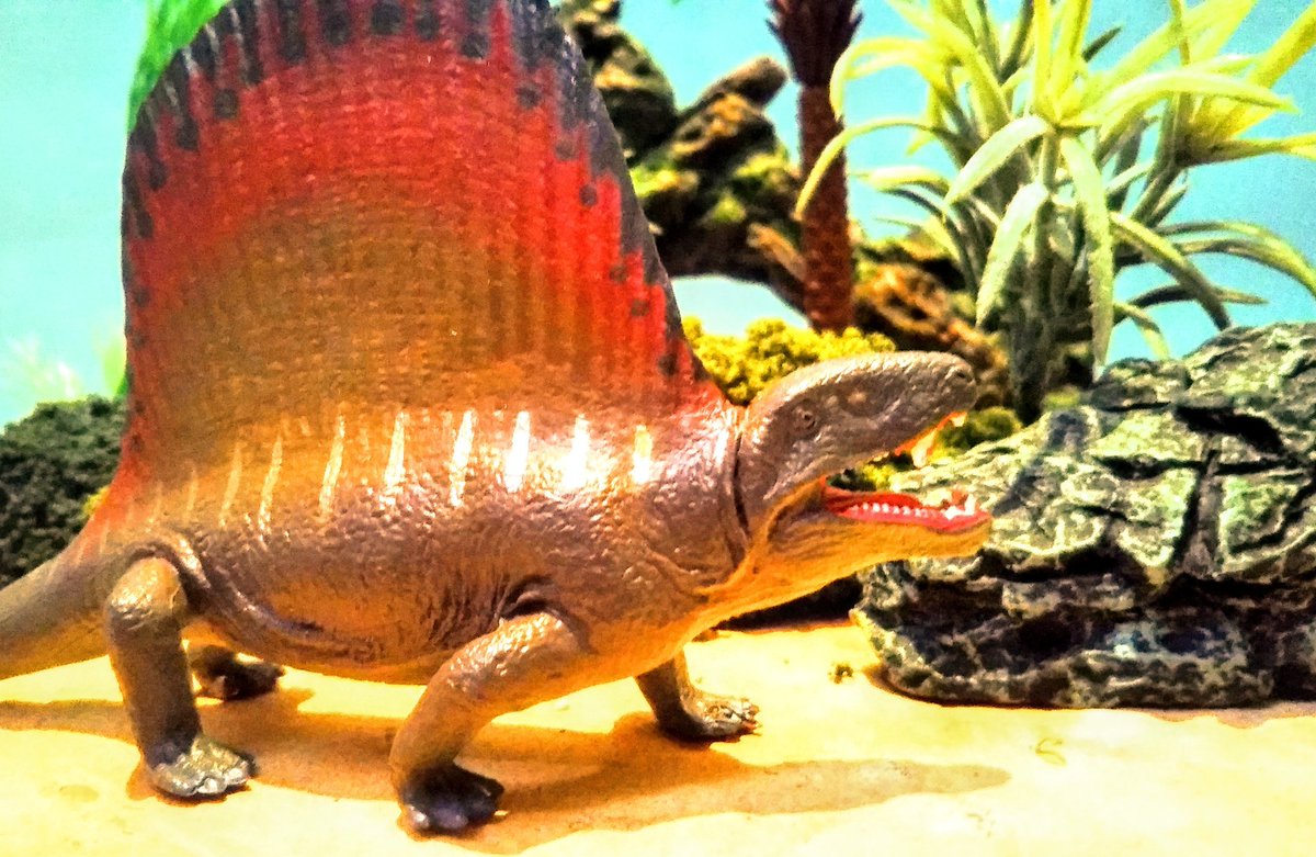 ディメトロドン