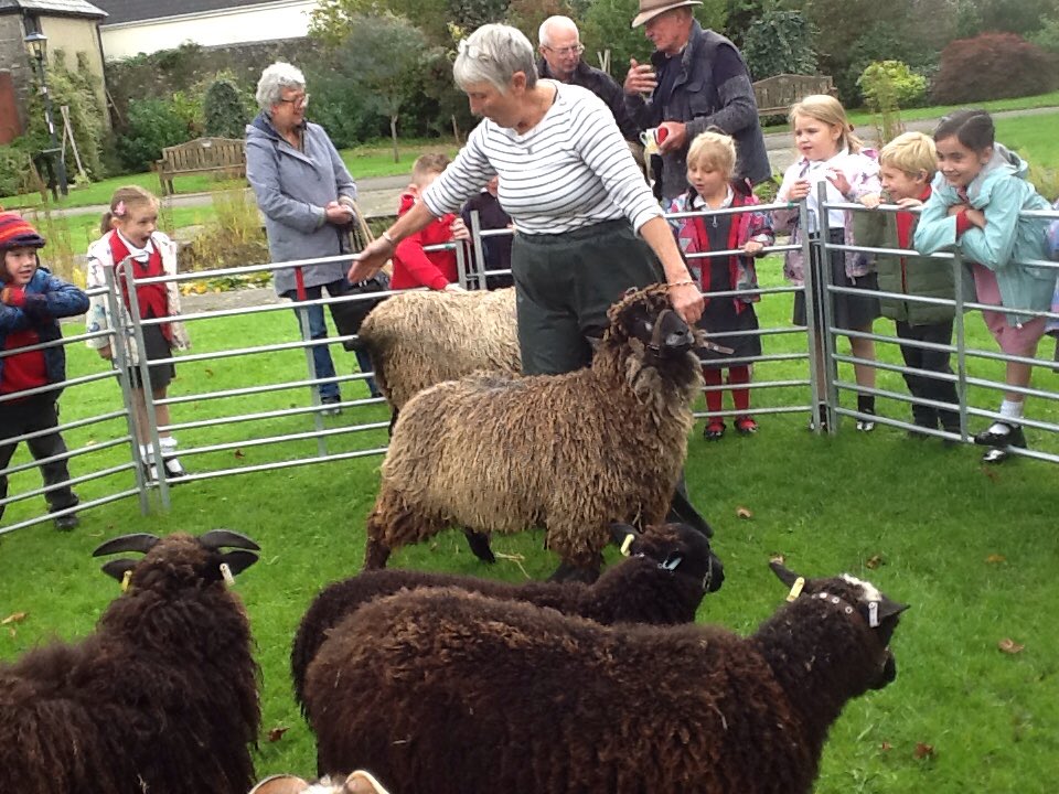 YBontFaen's tweet photo. @kennixtonsheep #NationalWoolWeek #Sheep #Community #Learning #YearTwo #SpinningWheel #Wool #Shepherd #FarmingLife #Clothing #History Thank you so much for sharing your knowledge on sheep and wool, we had an amazing time!! @cowbridgelib https://t.co/EUftdeCnDH