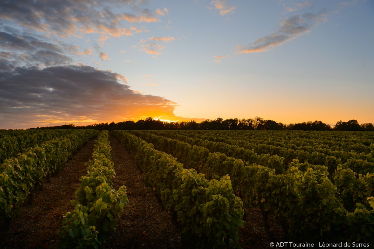 #JeudiPhoto Amoureux du #vin, la #Touraine est faite pour vous ! @lemondefr vous invite à découvrir, déguster, et apprécier l'#oenotourisme en #ValdeLoire grâce à #Vinoloire 🍷Un bel article à lire ➡️ bit.ly/2oKQRSc #icivivreestunart #winelovers