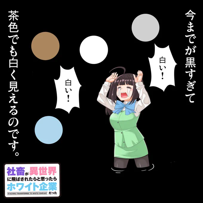 ブラック企業から何社か転職していったのですが、最初の会社が明け方4時まで会議(ほぼ罵倒大会)させられるとこだったので、2社目の「たまに休日に駆り出されるけど代休はもらえない」くらいなら、ちょっとホワイトに見えちゃったりします。 