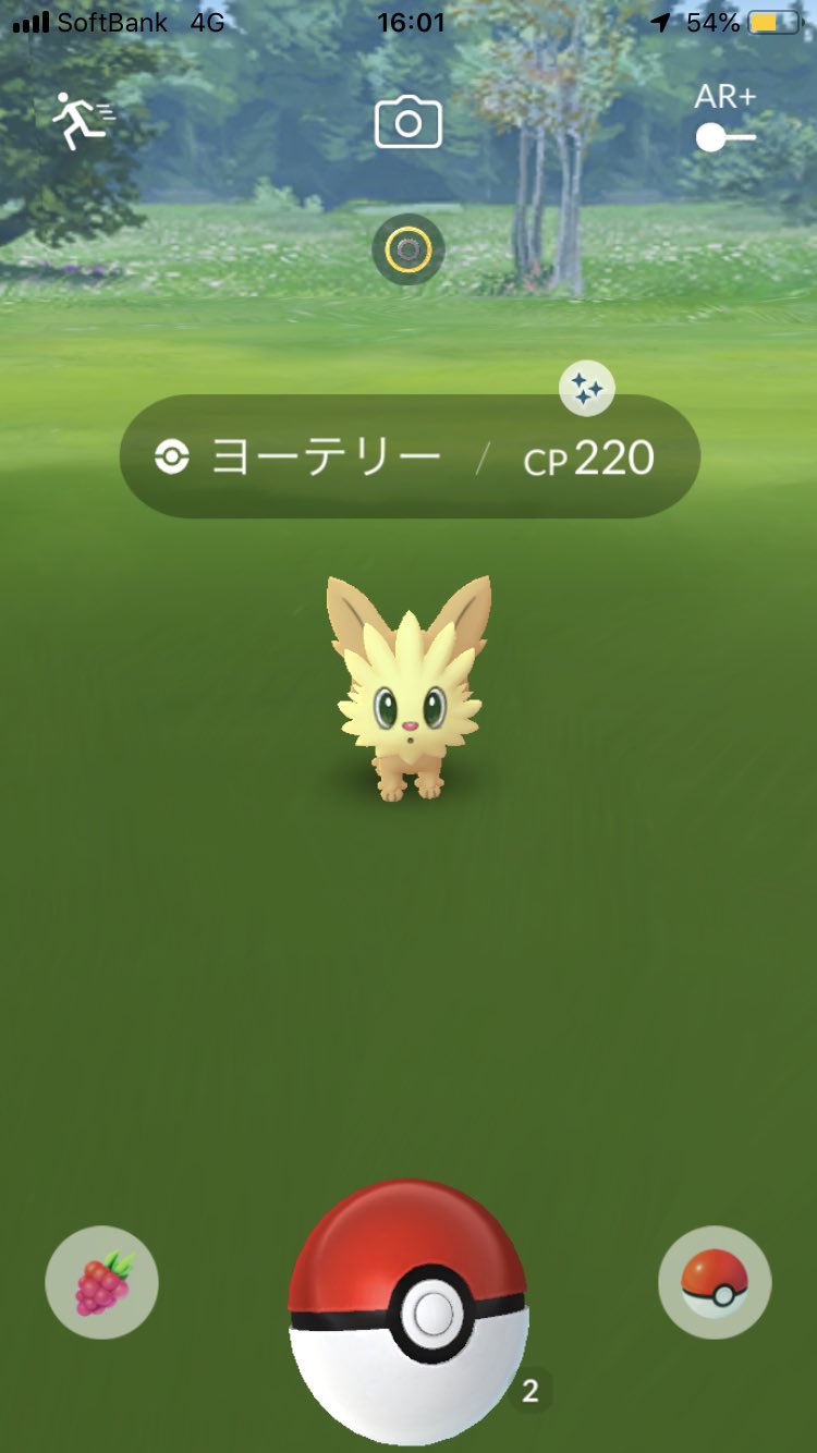 組長 ポケモンgo 色違いヨーテリーget 来週で仕事が落ち着きそう 最近ちゃんとフォロワー様と絡めてなくて寂しいので 落ち着いたら絡みにいきます モンハンもしたいけど 今日も21時半頃には寝落ちしてそうやな ポケモンgo 色違い