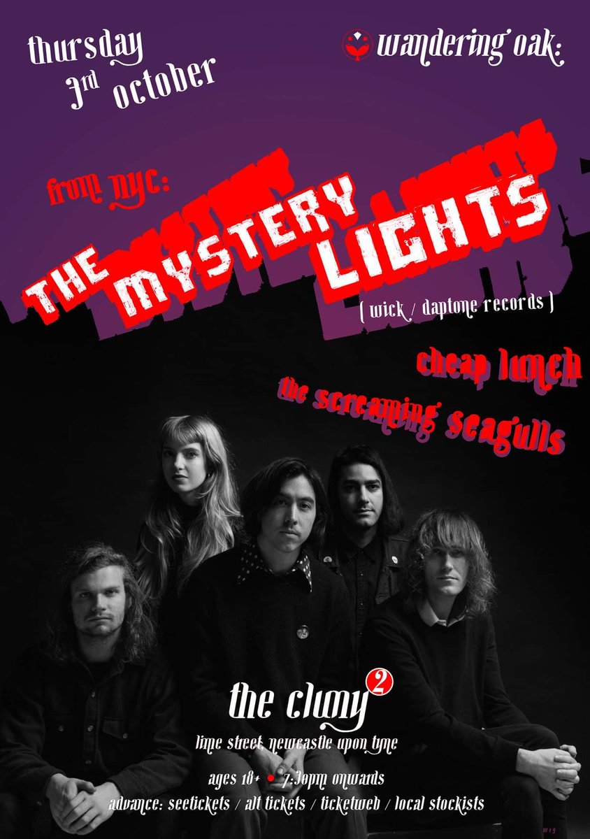 CHEAP LUNCH tweet media