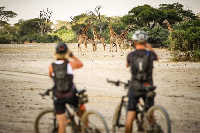 #AfricaClassic 2020! Heute in einem Jahr geht's los!
Eine #Mountainbike -Tour um den #Kilimanjaro in #Tansania - ein einzigartiges Erlebnis, welches sportliche Herausforderungen und #Teamgeist mit einem guten Zweck verbindet.
Weitere Infos hier: amrefgermany.de/africaclassic/