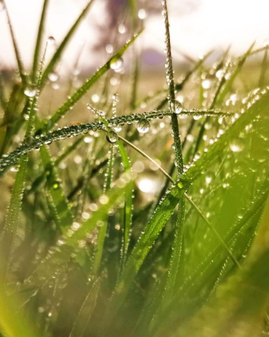 HiHonorIndia's tweet photo. Nature has always been a source of great mystery and even greater inspiration to all mankind. To celebrate #WorldNatureDay, here are a few stunning pictures #ShotOnHONOR.🤩 Share your #HONORMade nature snaps and celebrate #WorldNatureDay with us!😍 #YouDeserveBetter https://t.co/9wmq3UZ8nq