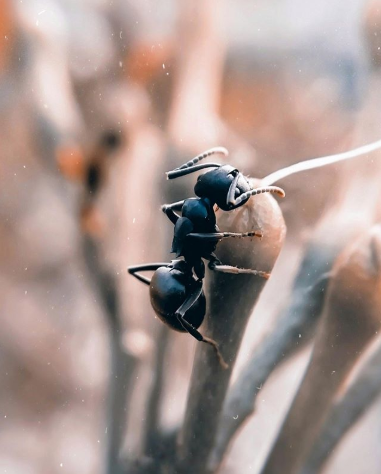 HiHonorIndia's tweet photo. Nature has always been a source of great mystery and even greater inspiration to all mankind. To celebrate #WorldNatureDay, here are a few stunning pictures #ShotOnHONOR.🤩 Share your #HONORMade nature snaps and celebrate #WorldNatureDay with us!😍 #YouDeserveBetter https://t.co/9wmq3UZ8nq