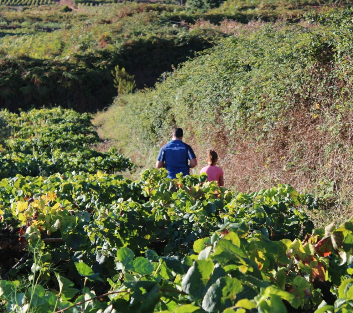 Inculcando la importancia del trabajo en la agricultura en las nuevas generaciones