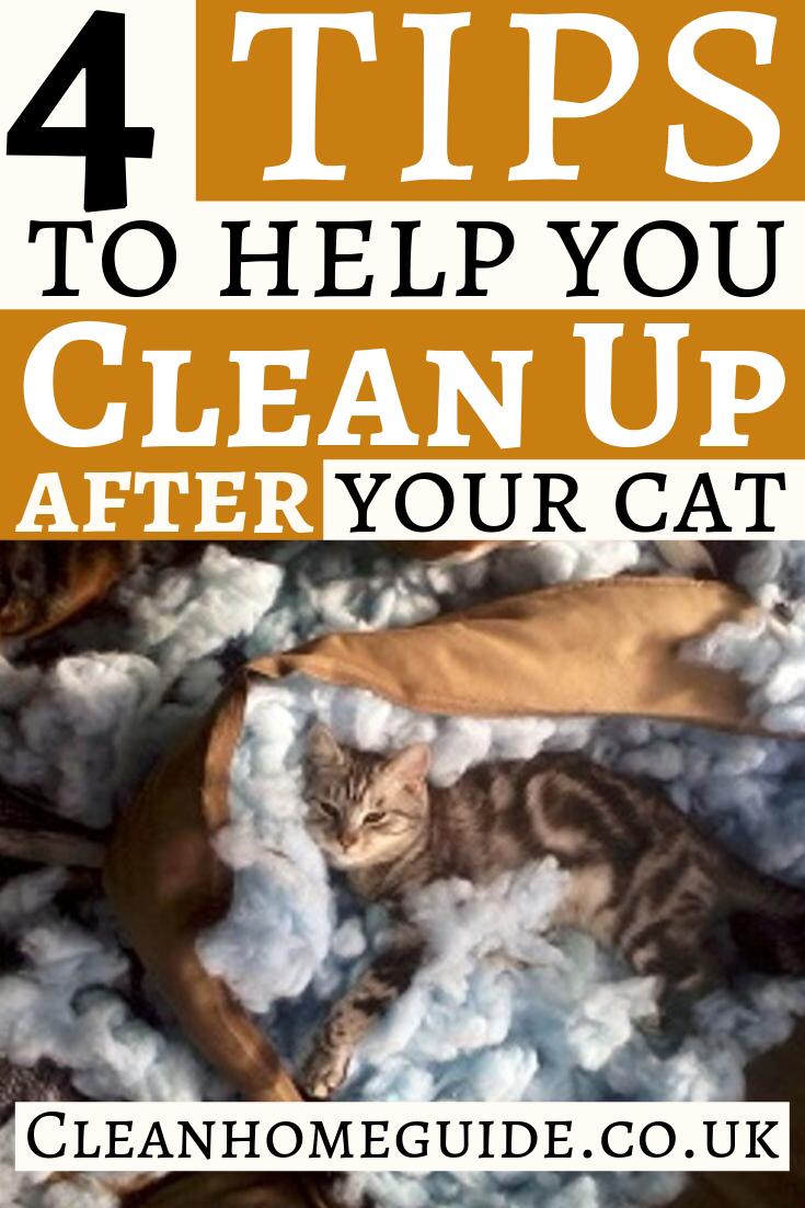 CleanHomeGuide2's tweet image. Tips and tricks to cleaning the most common cat messes around the house. Using these tips will help you have a cleaner looking and better smelling home. pinterest.com/r/pin/61164519…