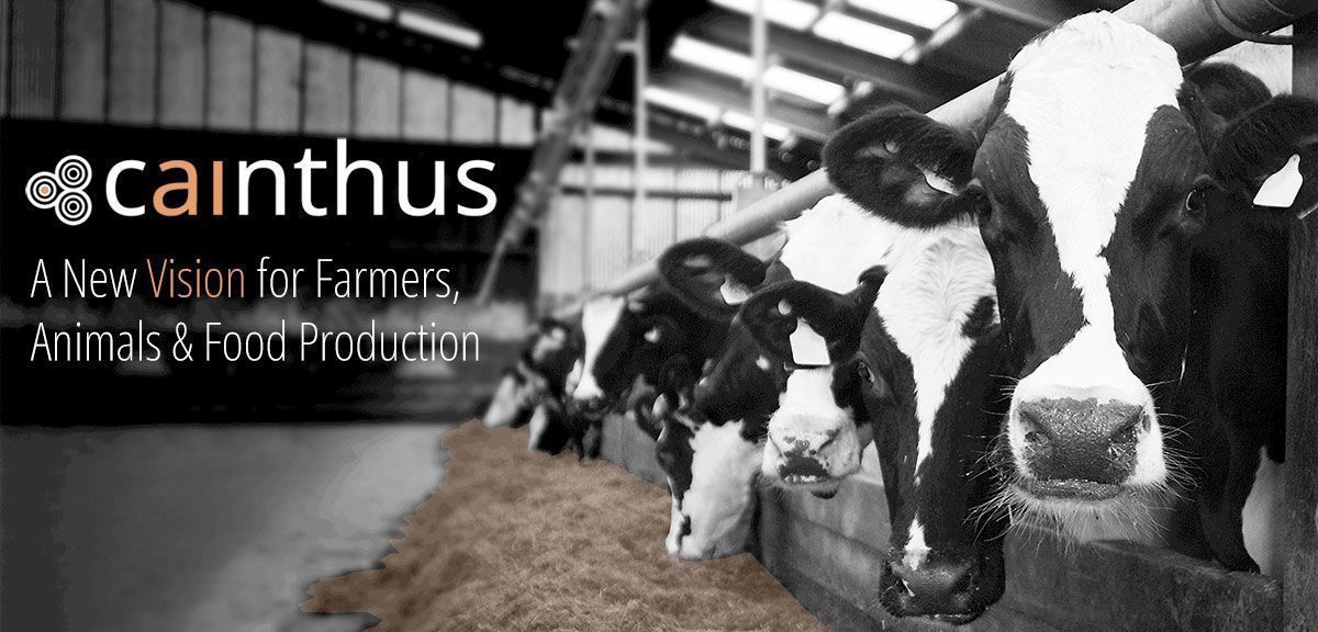 Cainthus (@cainthus) on Twitter photo We <a href="/cainthus/">Cainthus</a> are MOOOre than happy with our new look. We hope you like it too.
#Agriculture #AgTech #Brand #Dairy
buff.ly/2lR1jGA We <a href="/cainthus/">Cainthus</a> are MOOOre than happy with our new look. We hope you like it too.
#Agriculture #AgTech #Brand #Dairy
buff.ly/2lR1jGA