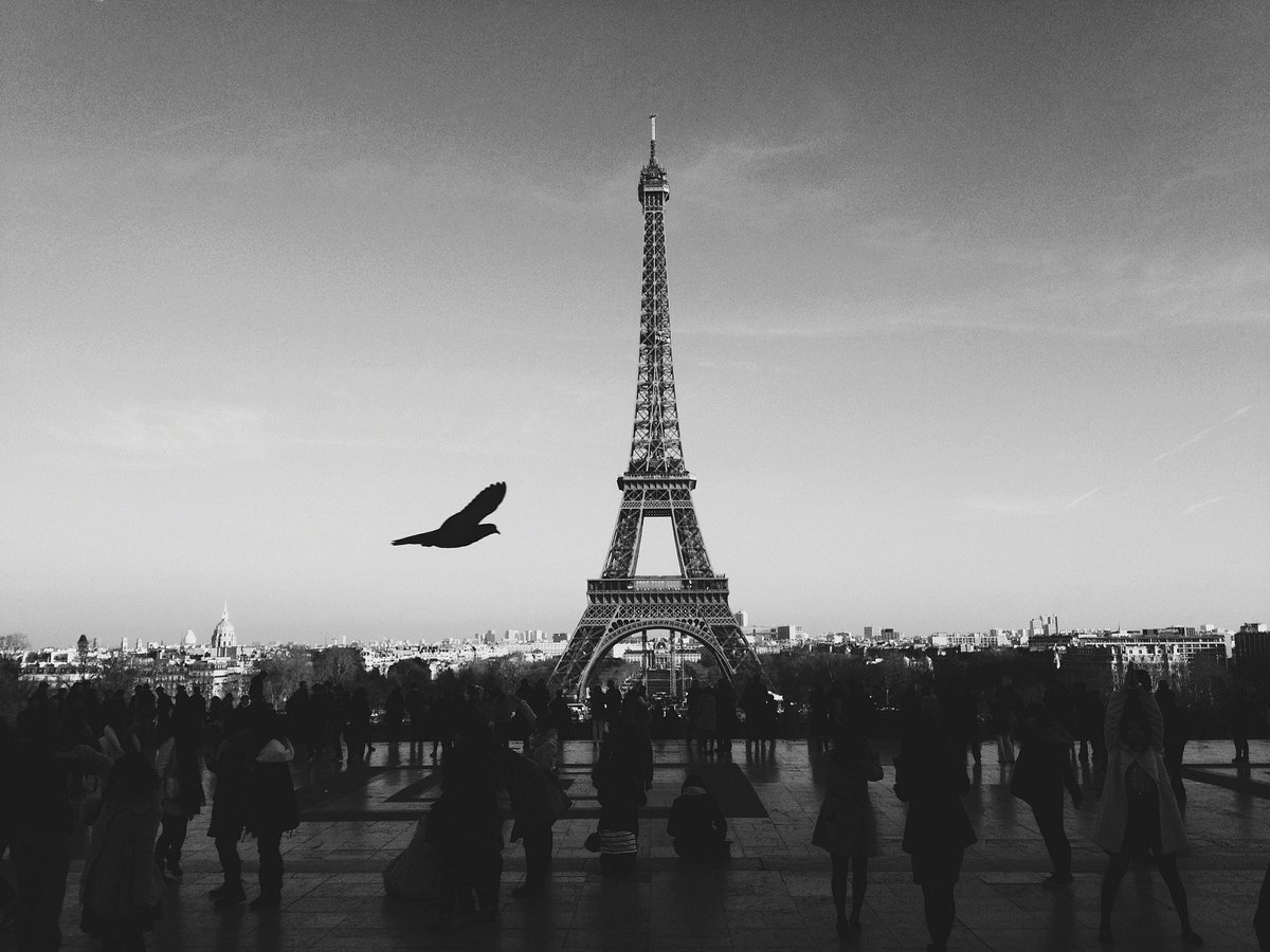 Les marques et commercants utilisent à present leurs rapports, comprenant un nouvel aperçu du comportement des clients, afin d'optimiser leur marketing et leur stratégie" - des benefices du programme de loyauté d'Apsys, presenté durant l'évènement @CNCC_Officiel CNCC à Paris hier