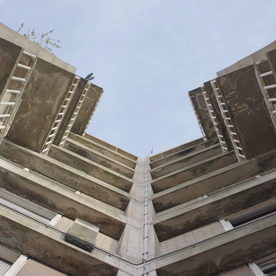 S1Artspace's tweet image. A week today Ilona Sagar’s ‘Deep Structure’ opens – join us for the preview, 6-8pm!

Pictured: a still from footage shot back in January 2018 in the original parts of the Park Hill estate. 

@ilona_sagar #ilonasagar #deepstructure #parkhillestate #architecture #health