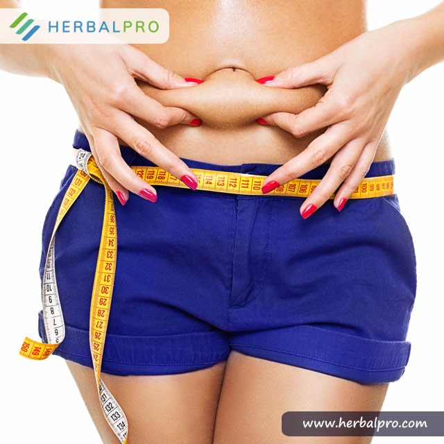 EZSlimNG's tweet photo. Its more than just a weight loss remedy? EZ Slim is here to give you weight loss, restore your shape, keep you healthy while losing weight and improve your lifestyle. https://t.co/XFoymgPE1v. #weightloss #herbal remedy #naturalweightmanagement #burnfat. https://t.co/dSOVfa7juX