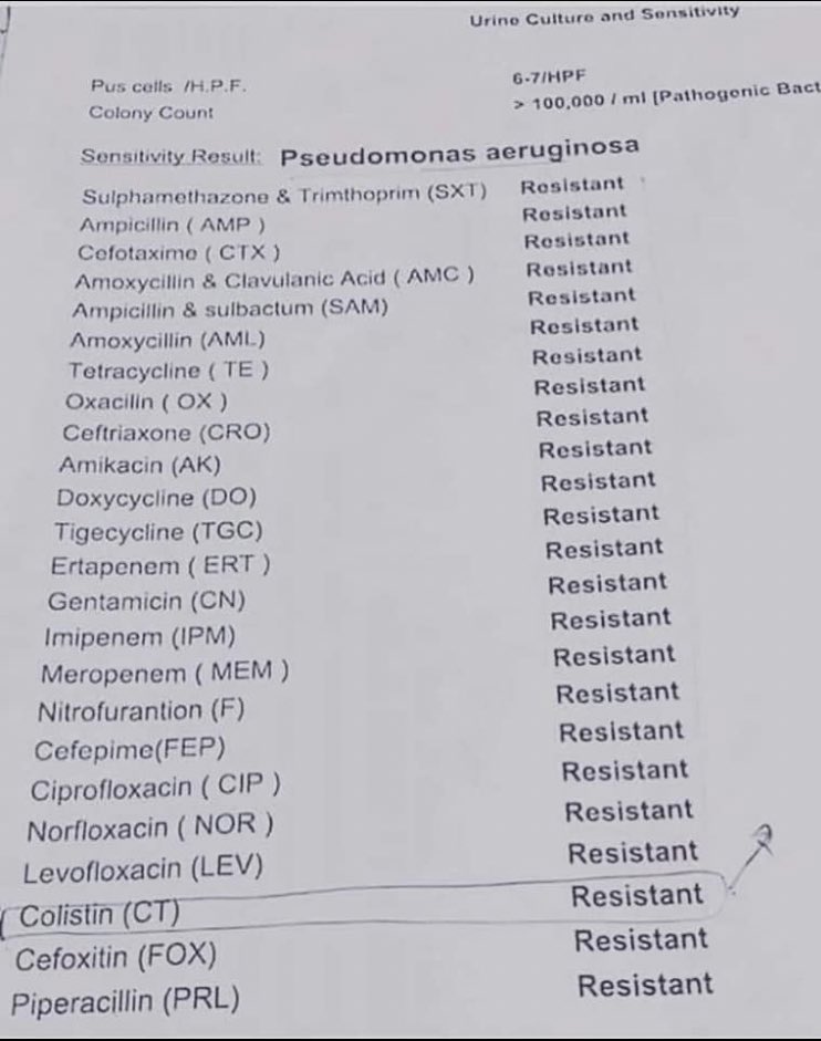 GCAGATGCAATG's tweet image. This is terrifying...