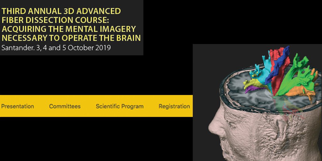 AforoCongresos's tweet photo. Desde hoy y hasta el sábado 5, organizamos una nueva edición del #curso #3DFiberSdr en la Fac. de Medicina de @unican con una jornada repleta de ponencias y sesiones prácticas en #neurocirugía 👉 https://t.co/tnLe83QC07
@NeuroRaquisHUMV @HUnivValdecilla @SociedadSENEC @EANSonline https://t.co/R7gZ0nAqlY