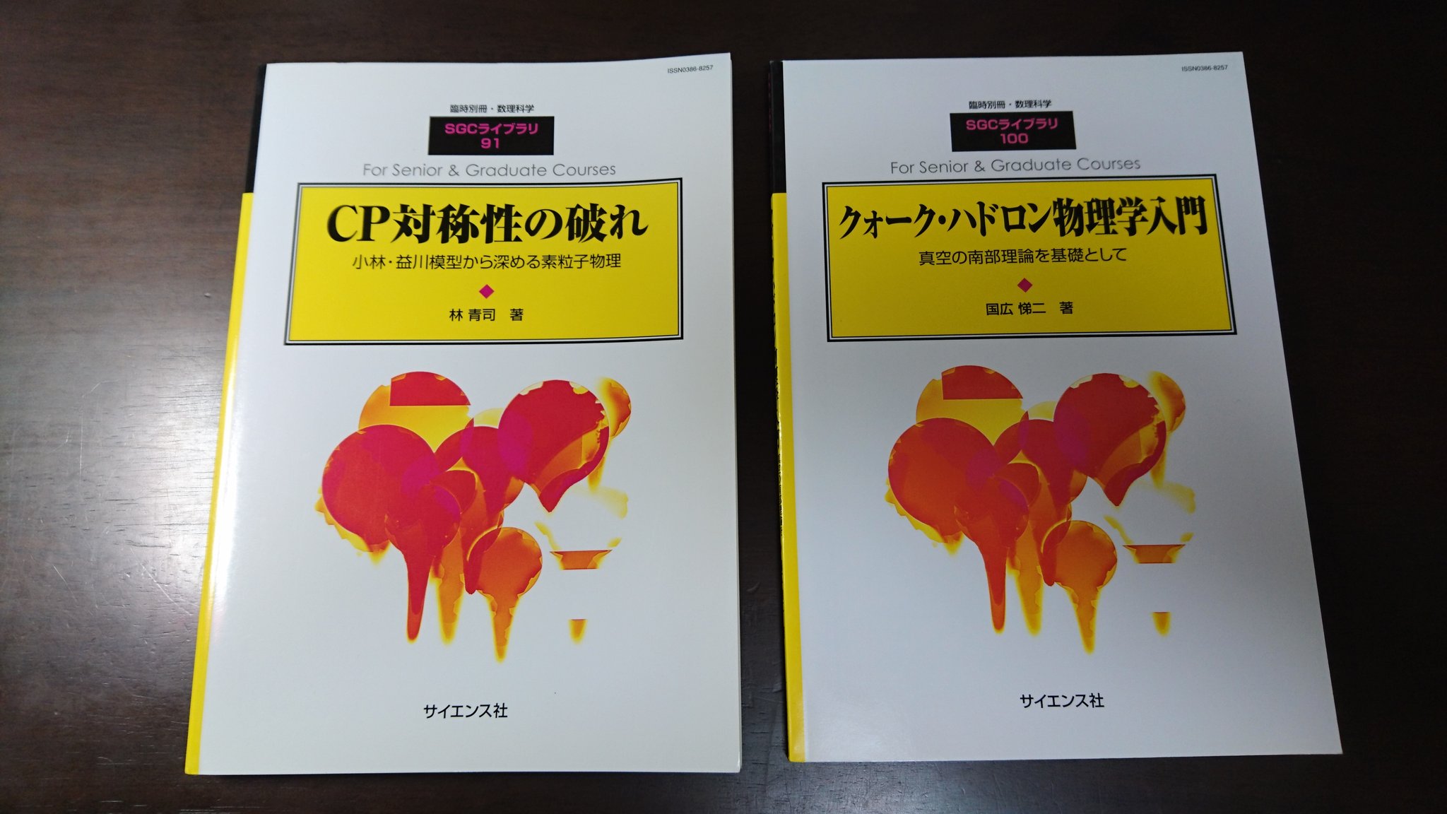 クォーク・ハドロン物理学入門　国広悌二 クォーク・ハドロン物理学入門 国広悌二 【公式通販】