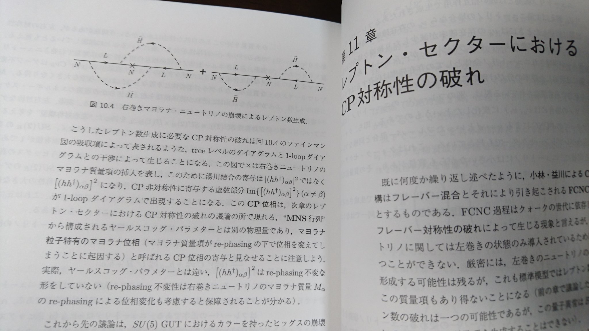 クォーク ハドロン物理学入門 国広悌二 新版 物理数学ノート