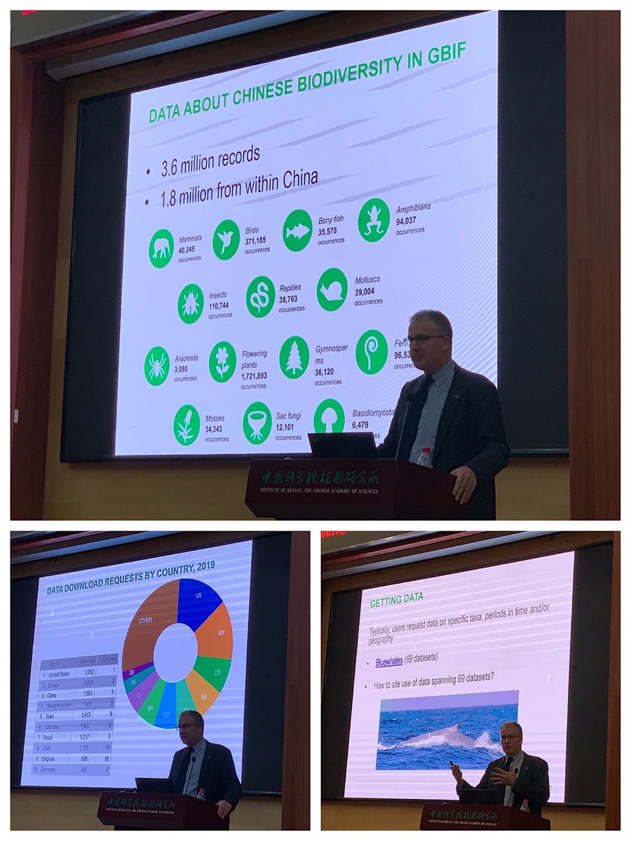 WAOSD_2408's tweet photo. @GBIF @AcaciaJoe #Chinese #Data #BiodiversityInformation #CitizenScientist #Species #Infrastructure #ContributionScience https://t.co/F7sjk8AxiN