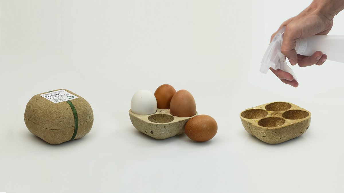 AciCastelloRD's tweet photo. Conosci il biopack? Un cartone per le uova speciale, una volta consumate le uova, si può piantare e cresceranno dei legumi, scopri di più leggendo l'articolo di @greenMe_it qui 👉https://t.co/mGqWjqQiC0 https://t.co/I8DAtvSLjB