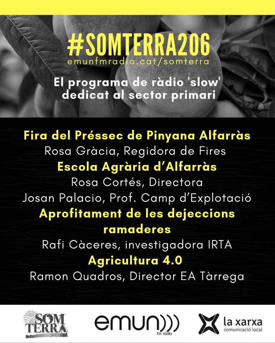 Som terra tweet media