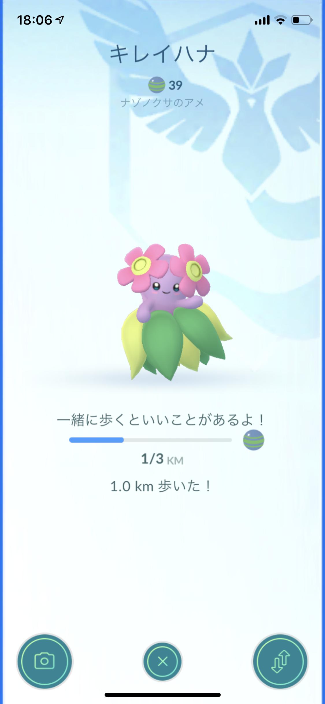 キレイハナ色違い Twitter Search Twitter