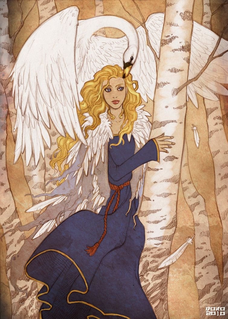 SO many brave Irish females who've been turned into swans: Fionnghuala, daughter of Lir; Caer Irish goddess of dreams & prophecy only human 1 day/yr! Étaín cursed into becoming water, worm, butterfly. Fell into wine, drunk & reborn 1012 yrs later, then swan!  #FolkloreThursday 