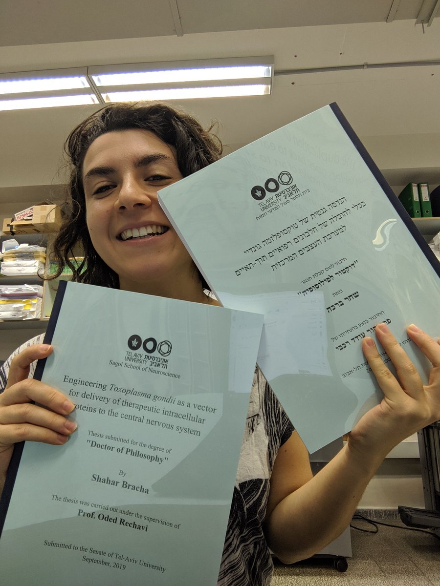 Shahar Bracha tweet media