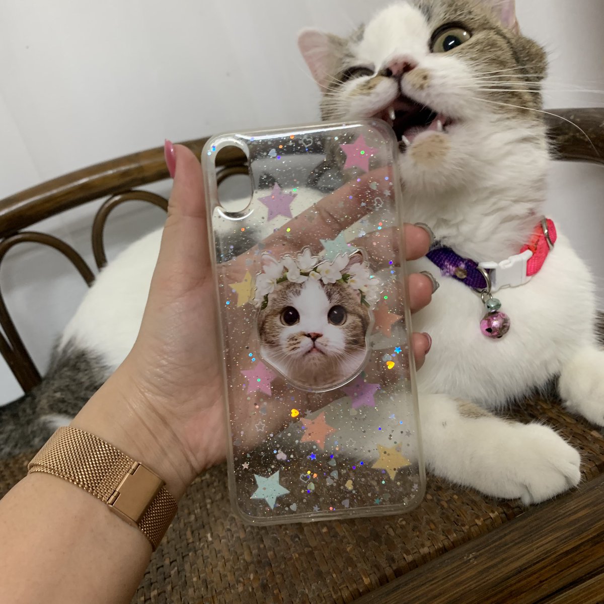 furbyfah's tweet image. พี่มาขอรูปซารังไปทำไมก็ไม่รู้ จนวันนั้นนางยื่นสิ่งนี้มาให้ กรี๊ดจนคอแหก แอบซุ่มทำมาให้แล้วคือมันน่ารักมากแงง ฝากร้านพี่เค้าหน่อยนะคะเป็นพี่แท้ๆเลย อันเดียวก็รับทำน้าทุกคนไม่มีขั้นต่ำ เอาไว้เป็นของขวัญต่างๆได้หรือทำใช้เองก็ได้ มันดือมากค่ะ💖