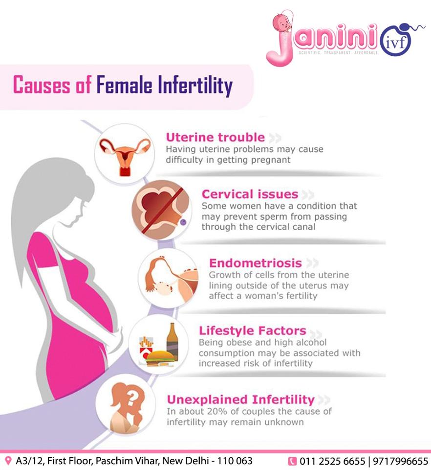 JaniniIVF's tweet photo. Causes of Female Infertility

#JaniniIVF #Parenthood #FemaleProblemes #Treatments #IVFCenter #InfertilityProblems #Pregnancy #Happiness #Mother #Family #Babysmilies #CureandTreatments #CompleteFamily #Baby #Child #MotherHood

Talk to our experts today : +91 9717996655 https://t.co/x7HFe7rAWw