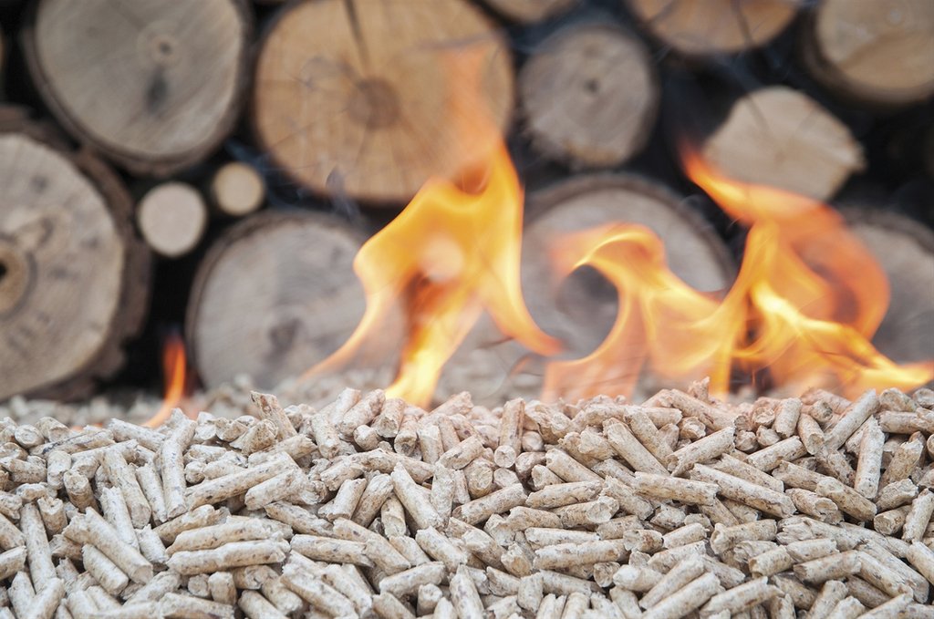 🔥 With the RHI scheme set to end in March 2021, a lot of growers are rushing to install Biomass boilers and reap the benefits whilst they still can. Head to the Bridge site for more info. #earth #earthpositive #sustainable #climate #agricultureuk #0carbon #lowcarbon