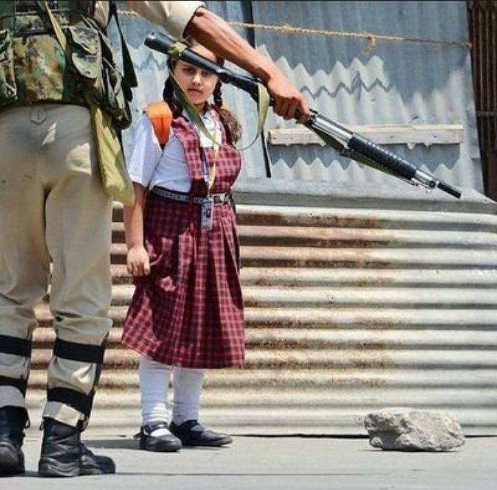 baseeji72's tweet photo. There is no fear of death in the eyes of kashmiris.kashmiris r at the position of Now or never. We want freedom from india at any cost.
#goindiagoback
#kashmiriswillnotsurrender✌✌
#KashmirBanyGaPakistan 🇵🇰🇵🇰🇵🇰 https://t.co/DpvyQfYEnr